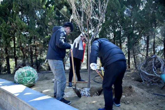 春風(fēng)十里，植下一片綠 | 瑞源控股集團(tuán)開展2023年植樹節(jié)系列活動(dòng)